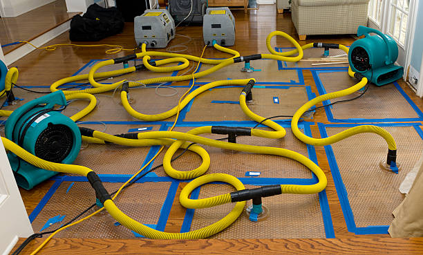 Professional Storm Water Damage Restoration technician working in Mountain City, TN